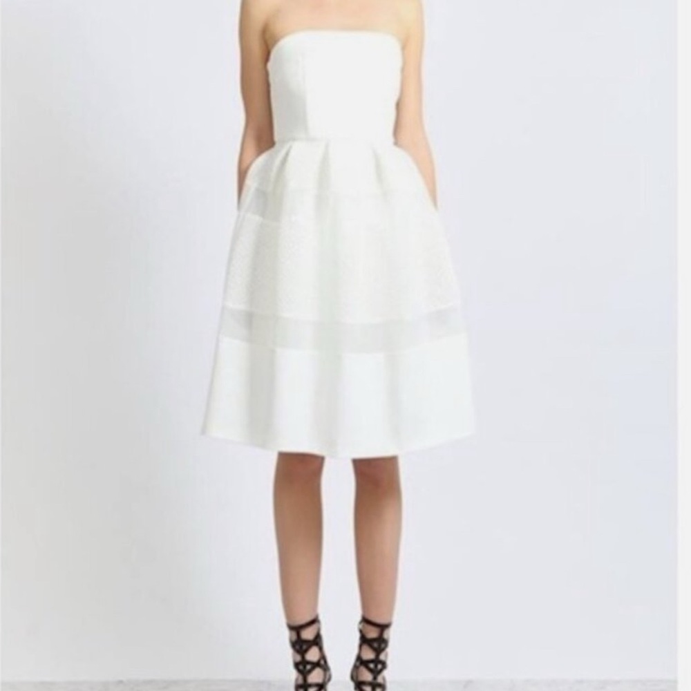 Elliatt Underworld Strapless Skater Dress size Small NWT